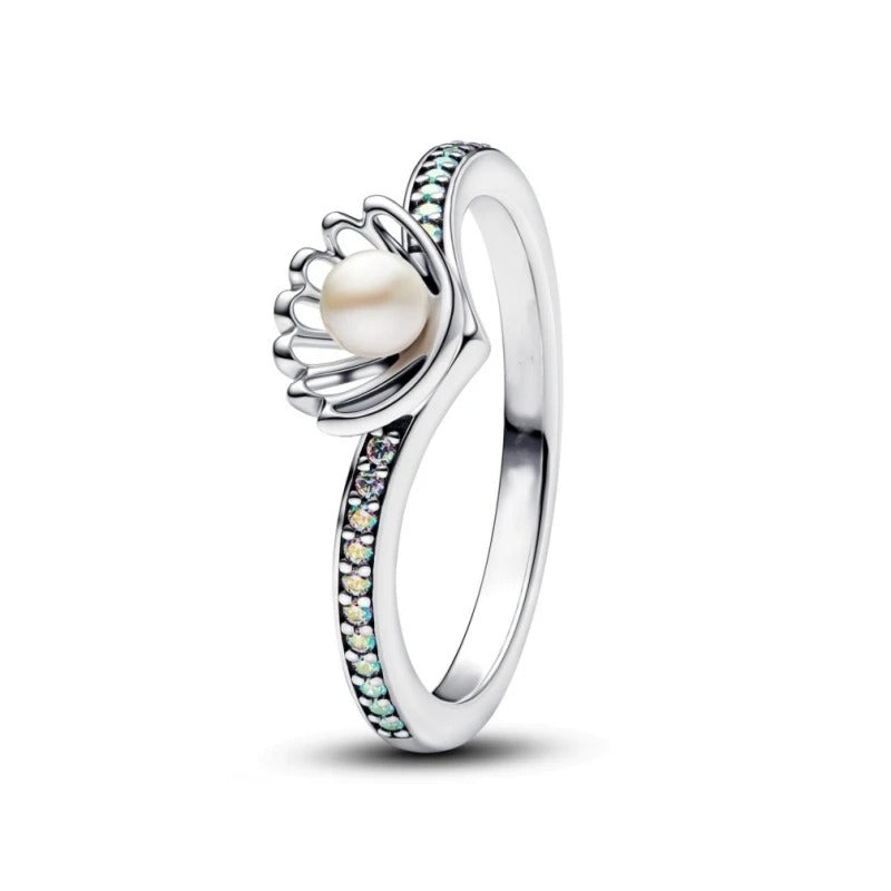 Anillo 1