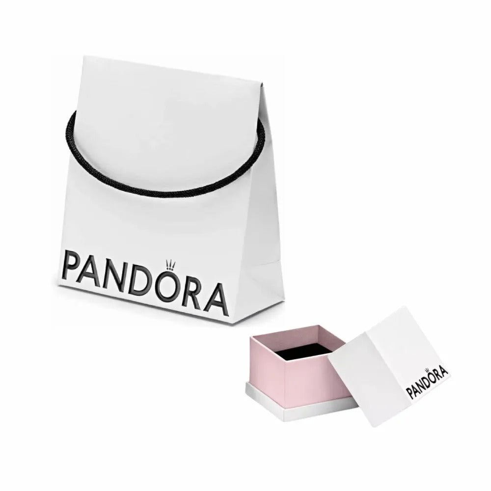 Caja de Regalo para Anillo y Charms