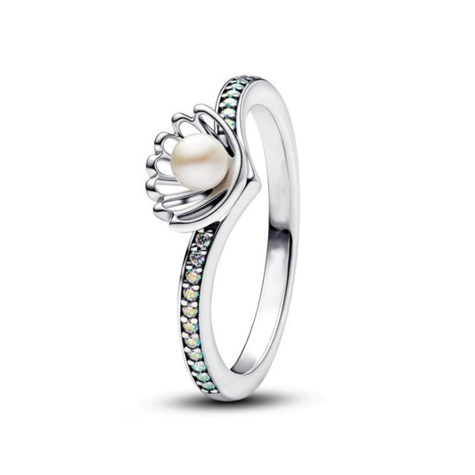 Anillo 1