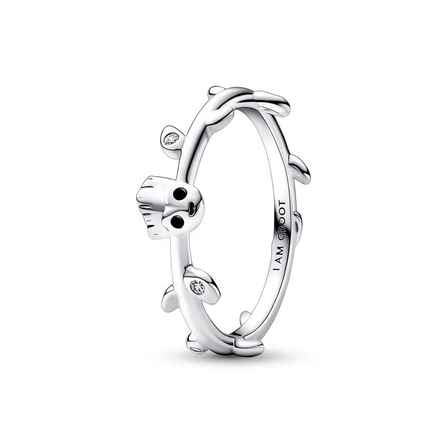 Anillo 6
