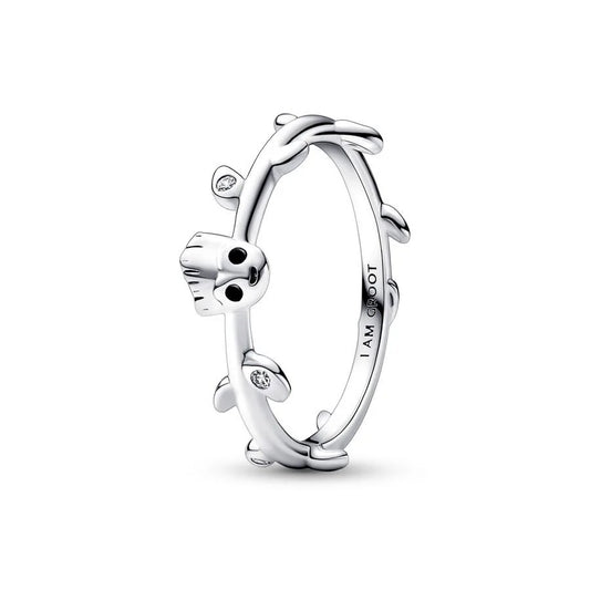 Anillo 6